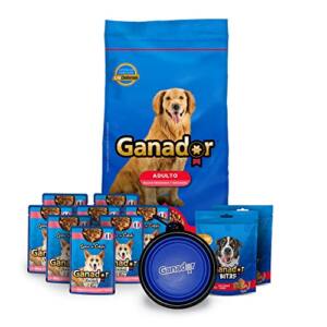 Catalogo Para Comprar On Line Croquetas Ganador Los 5 Mejores