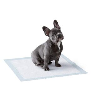 Opiniones Y Reviews De Panales Para Perros Los 10 Mejores