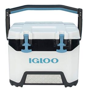 Reviews De Hielera Igloo Los Preferidos Por Los Clientes